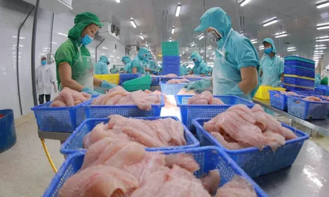 Đầu tư và Phát triển quốc gia I.D.I (IDI) báo lãi 16,5 tỷ đồng quý I/2024, hoàn thành 6% kế hoạch năm