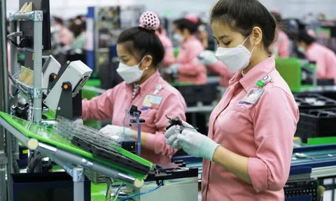 Phát triển nguồn nhân lực “đi đường dài” với nền kinh tế xanh