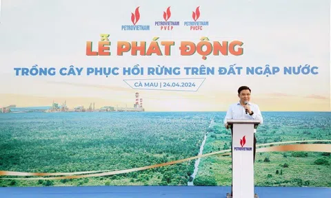 Petrovietnam phát động trồng cây phục hồi rừng trên đất ngập nước