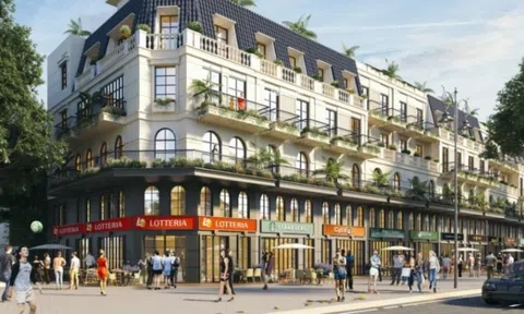 Tiền thu từ đi vay tăng gấp 57 lần, lãi ròng Năm Bảy Bảy (NBB) vỏn vẹn 49 triệu đồng