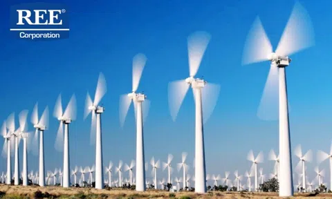 Doanh thu, lợi nhuận Cơ điện lạnh (REE) “lao dốc” trong quý 1/2024