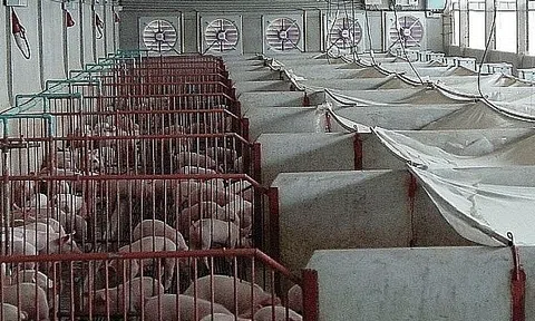 Ngày thu hơn 4 tỷ, Khoáng sản và Thương mại Hà Tĩnh vẫn chưa thoát lỗ