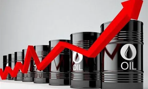 Giá dầu hồi phục