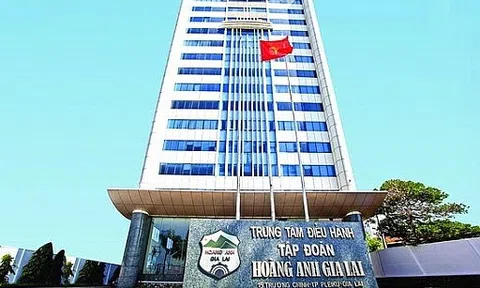 Cơ cấu doanh thu "hụt hơi", HAGL (HAG) báo lãi quý 1/2024 giảm 25%