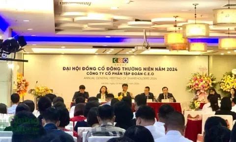 CEO Group tổ chức thành công ĐHĐCĐ 2024 sau lần 1 bất thành, đặt mục tiêu lợi nhuận tăng 24% so với năm 2023