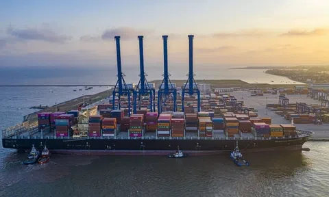 Đại hội cổ đông thường niên của Viconship (VSC) bất thành do tỷ lệ tham dự dưới 40%