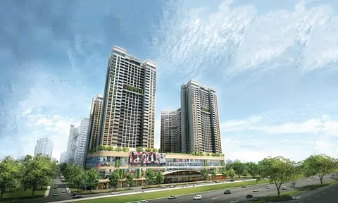 Tập đoàn Tiến Phước và nhiều doanh nghiệp cùng hệ sinh thái kinh doanh lỗ nặng