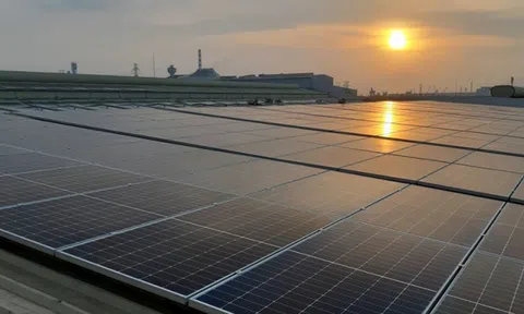 Helio Energy (HIO) báo lãi quý I/2024 tăng gấp 4,3 lần cùng kỳ