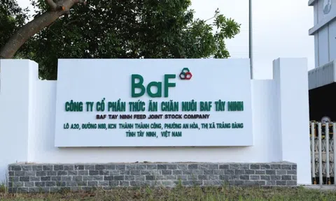 Quý I/2024, Nông nghiệp BaF Việt Nam (BAF) báo lãi 119 tỷ đồng, gấp 30,5 lần cùng kỳ