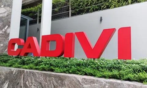CADIVI có tân Chủ tịch HĐQT, đặt mục tiêu lãi trước thuế 460 tỷ đồng trong năm 2024