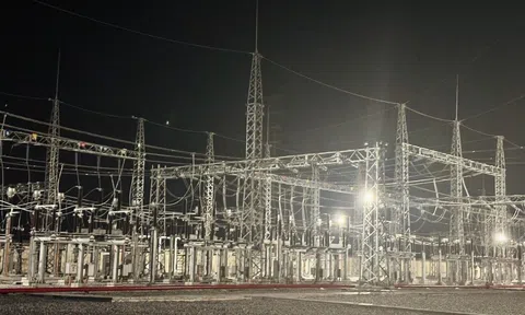 Đường dây 110kV từ TBA 220kV Phố Cao - TBA 110kV Hưng Hà đóng điện vượt tiến độ 3 tháng