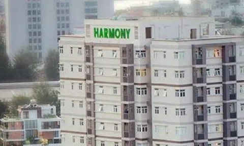 Bất động sản Điện lực Miền Trung: Kinh doanh thua lỗ, cổ phiếu bị kiểm soát