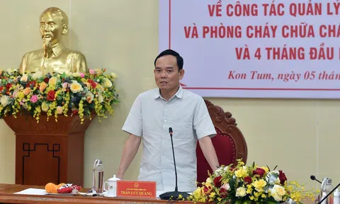 Đề cao trách nhiệm của người đứng đầu trong quản lý, bảo vệ, phòng chống cháy rừng