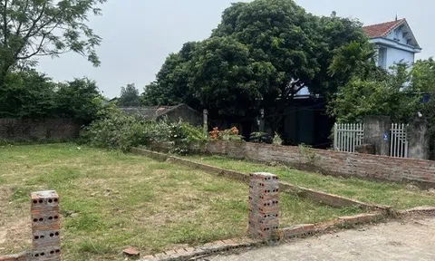 Sốt đất nền và những lưu ý không thể bỏ qua trước khi "xuống tiền"