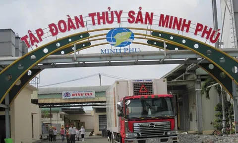 Thủy sản Minh Phú (MPC) lợi nhuận sụt giảm trong quý đầu năm