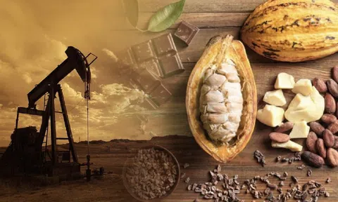 Giá dầu giảm mạnh về mức thấp nhất 7 tuần