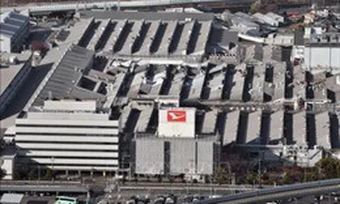 Daihatsu nối lại hoạt động của tất cả các nhà máy tại Nhật Bản sau vụ bê bối