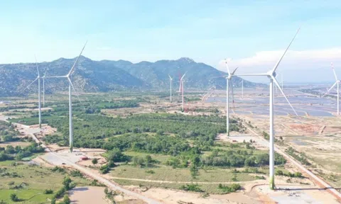 Đầu tư hàng nghìn tỷ đồng cho năng lượng tái tạo, Hà Đô báo lãi "giật lùi" 26%