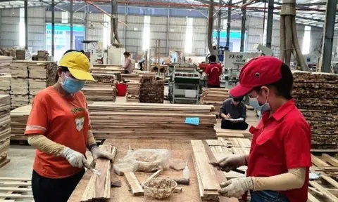 Đơn hàng khởi sắc, cơ hội “lội ngược dòng” cho ngành gỗ năm 2024