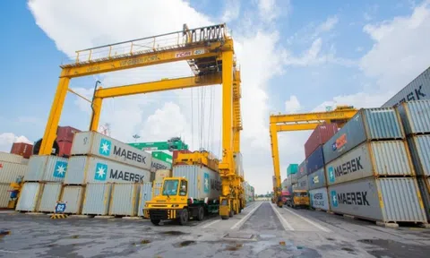 Thêm một thành viên "nhà" Container Việt Nam (Viconship) báo lãi tăng vọt