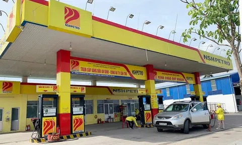 Nam Sông Hậu (PSH) có Tổng Giám đốc và Phó Tổng Giám đốc mới