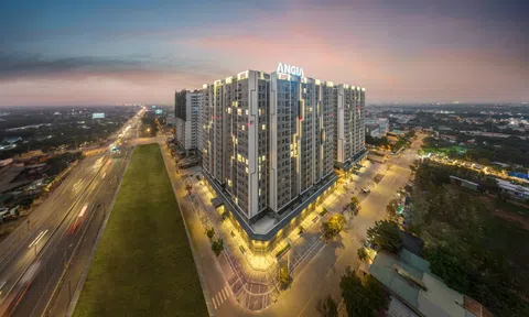 An Gia (AGG) lãi lớn quý đầu năm 2024