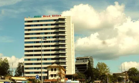 HAGL: Thành viên HĐQT từ nhiệm trước thềm ĐHĐCĐ, ngay sau công bố có cổ đông lớn mới