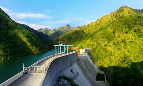 Lãnh đạo công ty thành viên Bitexco làm Tổng Giám đốc Xuân Thiện Yên Bái