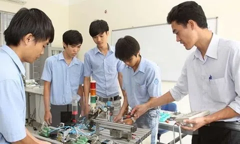 Giảng viên giáo dục nghề nghiệp chính cần tiêu chuẩn gì?