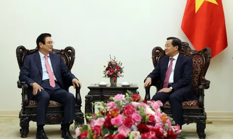 Phó Thủ tướng Lê Minh Khái tiếp Phó Chủ tịch, Giám đốc điều hành Tập đoàn Hyosung