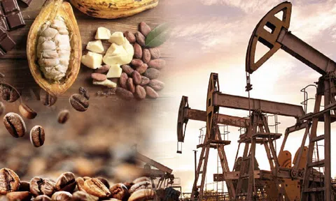 Dầu thô ghi nhận tuần giảm giá mạnh nhất từ đầu năm