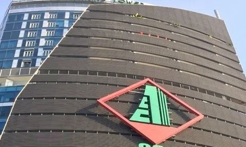 CC1 đặt mục tiêu lãi ròng năm 2024 tăng gấp đôi, muốn đưa cổ phiếu tham chiến sàn HOSE