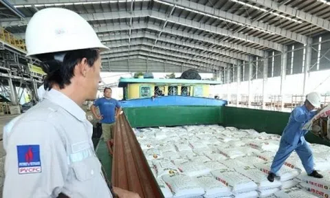 Đạm Cà Mau (DCM) mua lại nhà máy triệu đô của Hàn Quốc