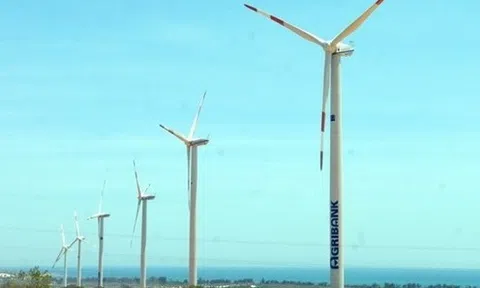 Vừa hoàn tất đăng ký công ty đại chúng, BCG Energy "úp mở' chuyện lên sàn chứng khoán Mỹ