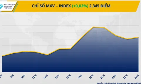 Giá hàng hoá nguyên liệu thế giới biến động mạnh