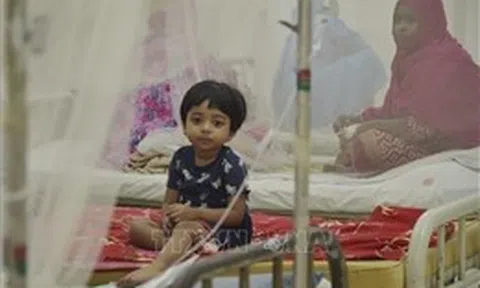 WHO phê duyệt vaccine sốt xuất huyết của công ty Nhật Bản