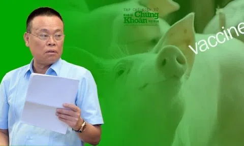 Dabaco (DBC) “hái quả ngọt” sau quyết sách sống còn của Chủ tịch Nguyễn Như So