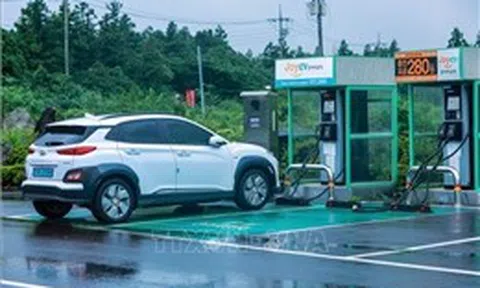 Xe hybrid chiếm gần một nửa tổng số xe nhập khẩu tại Hàn Quốc