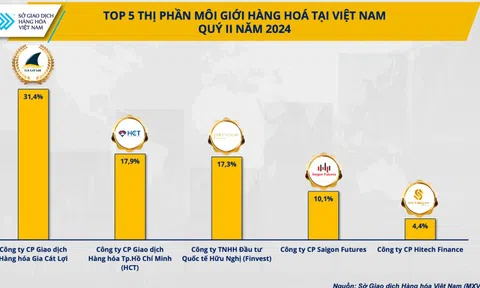 Top 5 chiếm 81% thị phần môi giới hàng hóa quý II/2024