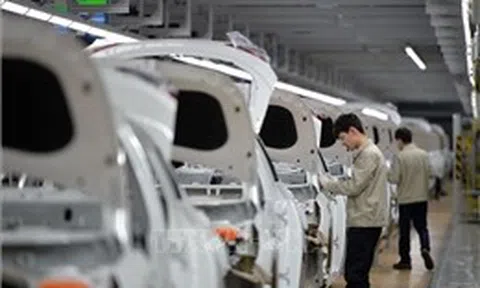 Hàn Quốc: Gần 460.000 xe ô tô bị triệu hồi vì lỗi linh kiện 