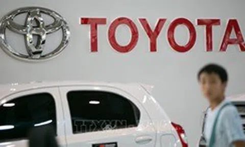 Toyota gia hạn lệnh ngừng sản xuất 3 mẫu xe gian lận kết quả kiểm tra an toàn