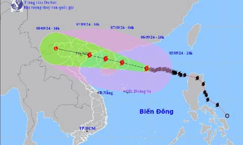 Quảng Ninh: Di dời người dân khỏi các khu nuôi trồng thủy sản trước 16h ngày 6/9