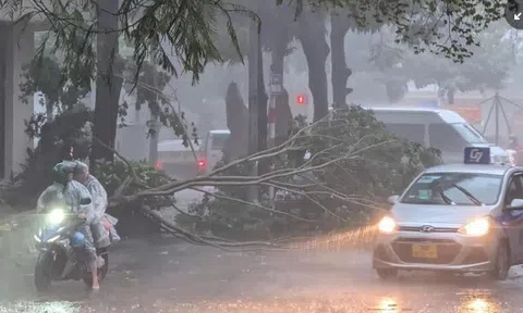 Bão số 3 sẽ đổ bộ đất liền với cường độ rất mạnh, cảnh báo thiên tai cấp độ 4