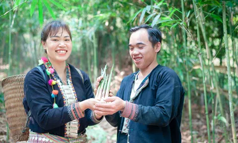 Hỗ trợ chuyển đổi số cho doanh nghiệp nhỏ và vừa tỉnh Lào Cai, Sơn La