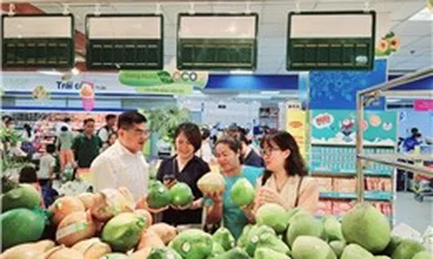 TP Hồ Chí Minh: Nỗ lực kéo sức mua khi người dân tiết kiệm chi tiêu