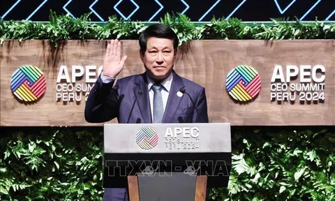 Chủ tịch nước phát biểu tại Hội nghị Thượng đỉnh doanh nghiệp APEC-CEO Summit