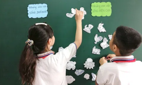 Sở GD&ĐT Tp.HCM: Trường học không để xảy ra việc dạy thêm, học thêm trái quy định