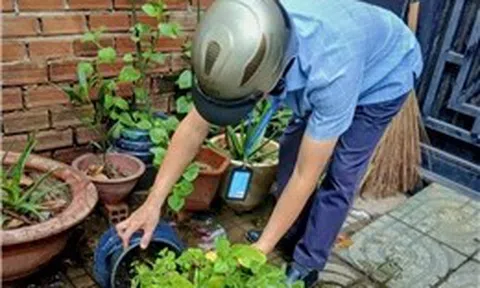 TP Hồ Chí Minh: Cảnh báo dịch sốt xuất huyết bùng phát sớm