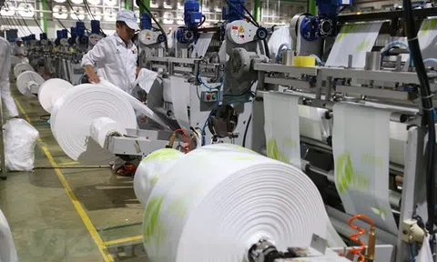 Bình Định: Xây dựng nhà máy sản xuất giấy 700 tỷ đồng tại Khu công nghiệp Nhơn Hòa
