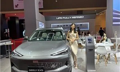 Chủ tịch Geely: Ngành ô tô toàn cầu đang dư thừa nghiêm trọng